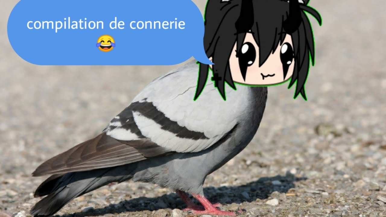 •Compilation de connerie• //gacha life // ☁Mimiko-chan ☁