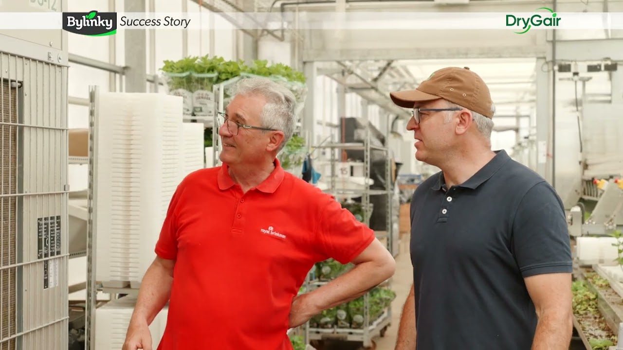 How Basil Grower Solves Downy Mildew - Bylinky S.R.O. Success Story with DryGair Dehumidification