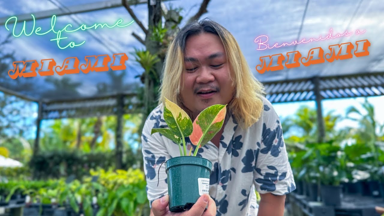 I Traveled to Miami to Go Plant Shopping