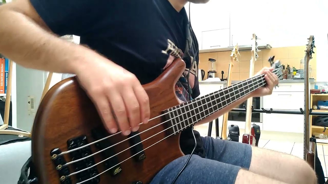 DUALITY / SLIPKNOT - BASS COVER