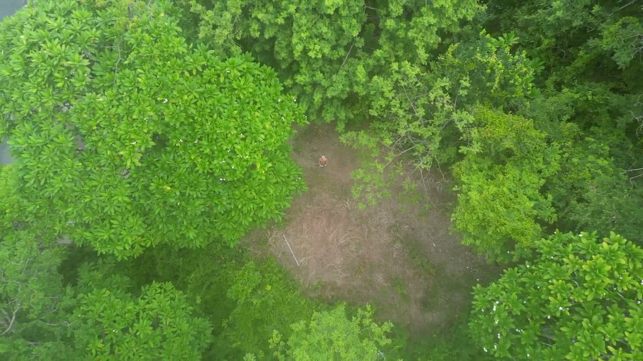 Samara Nature: Trees, Cliffs & the Ocean