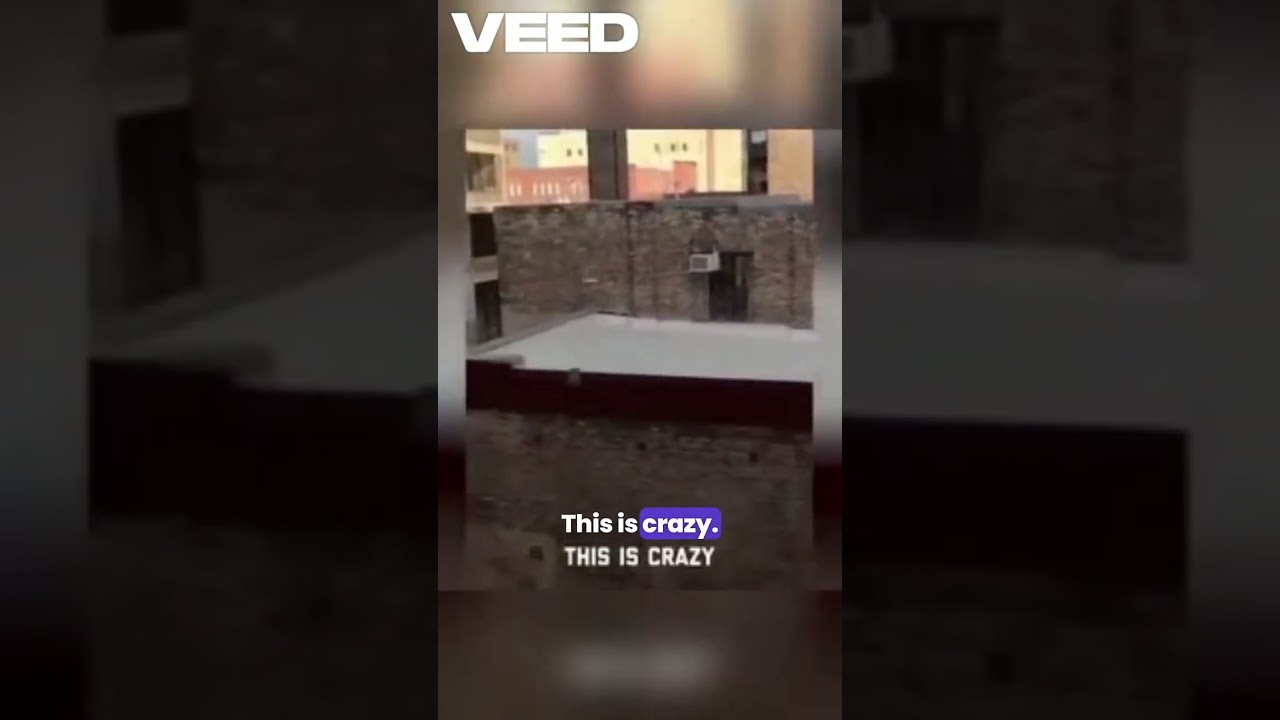 Drone Delivery Mishap VEED