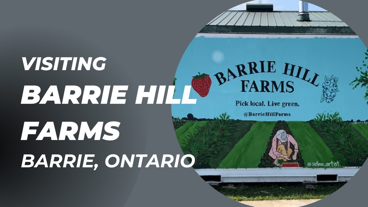 Visiting Barrie Hill Farms in Barrie Ontario