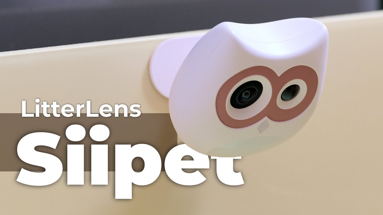 Обзор SiiPet LitterLens: как работает первый в мире монитор здоровья домашних животных на базе ис...