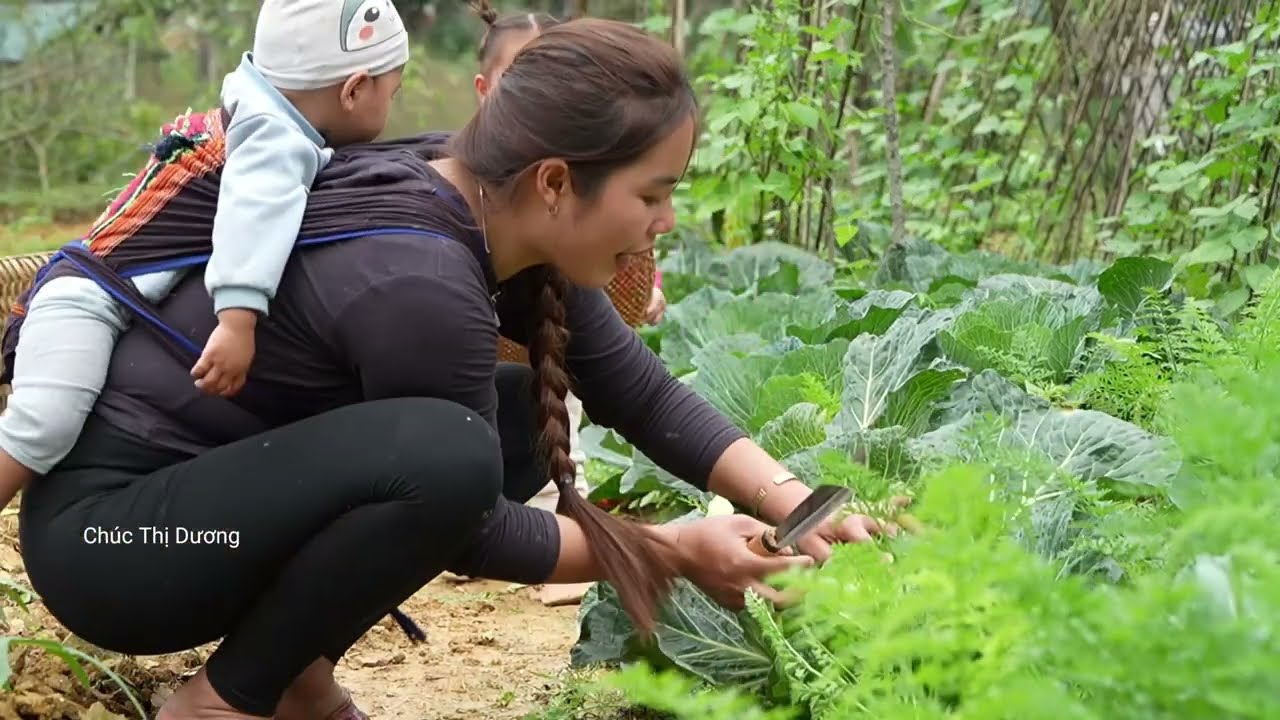 Harvesting Cabbages to Sell at the Market – Making Traditional Meat Sticky Rice Cakes for My Kids