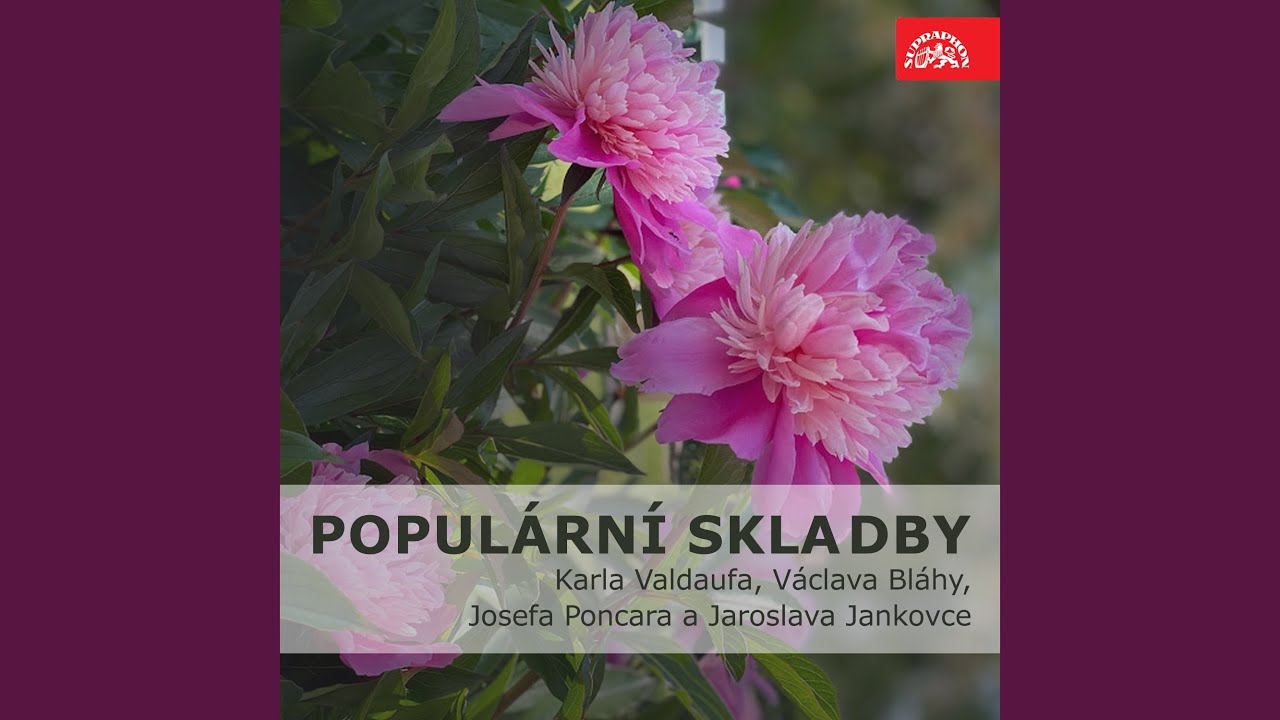 Populární skladby Václava Bláhy. Směs