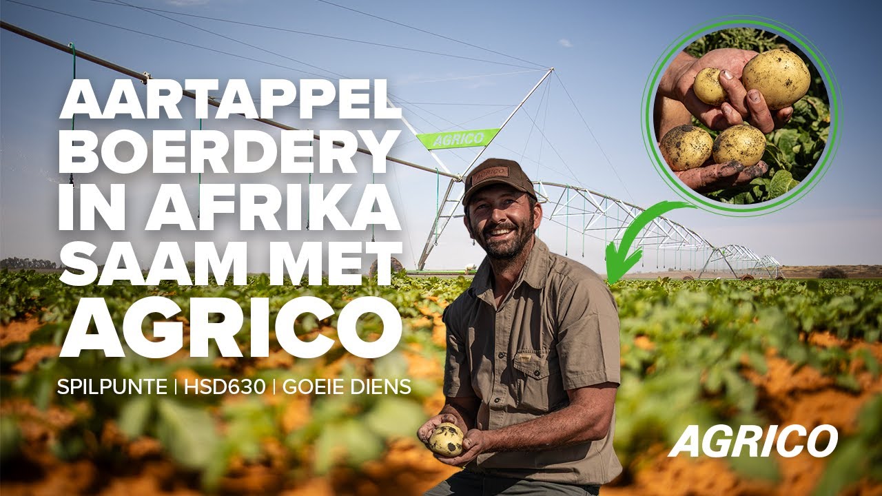 Farming in Pandamatenga: Potatoes, Irrigation, and Perseverance in Botswana