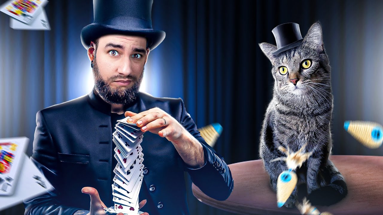 Apprendre des tours à son chat : les astuces pour y parvenir !