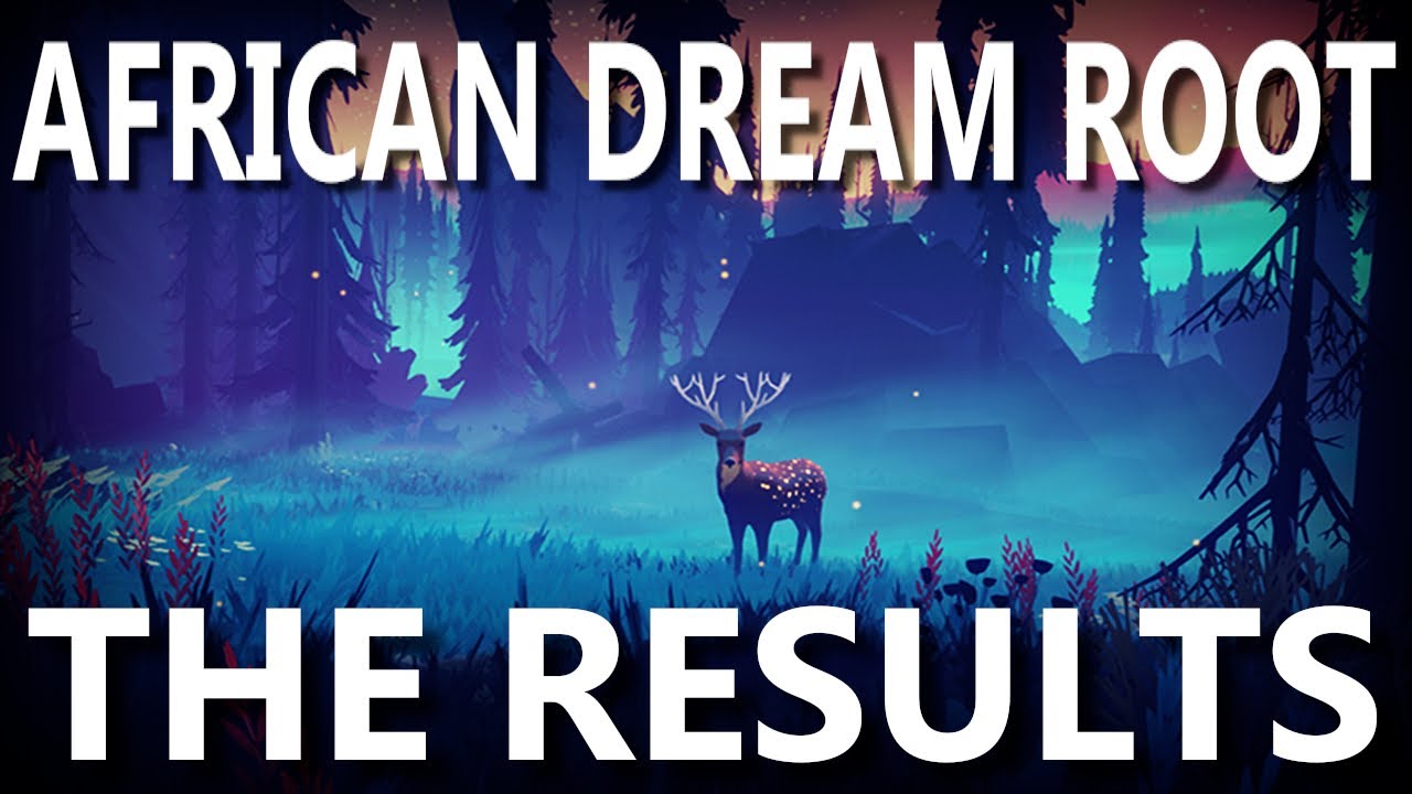 Part 2: The Results | African Dream Root