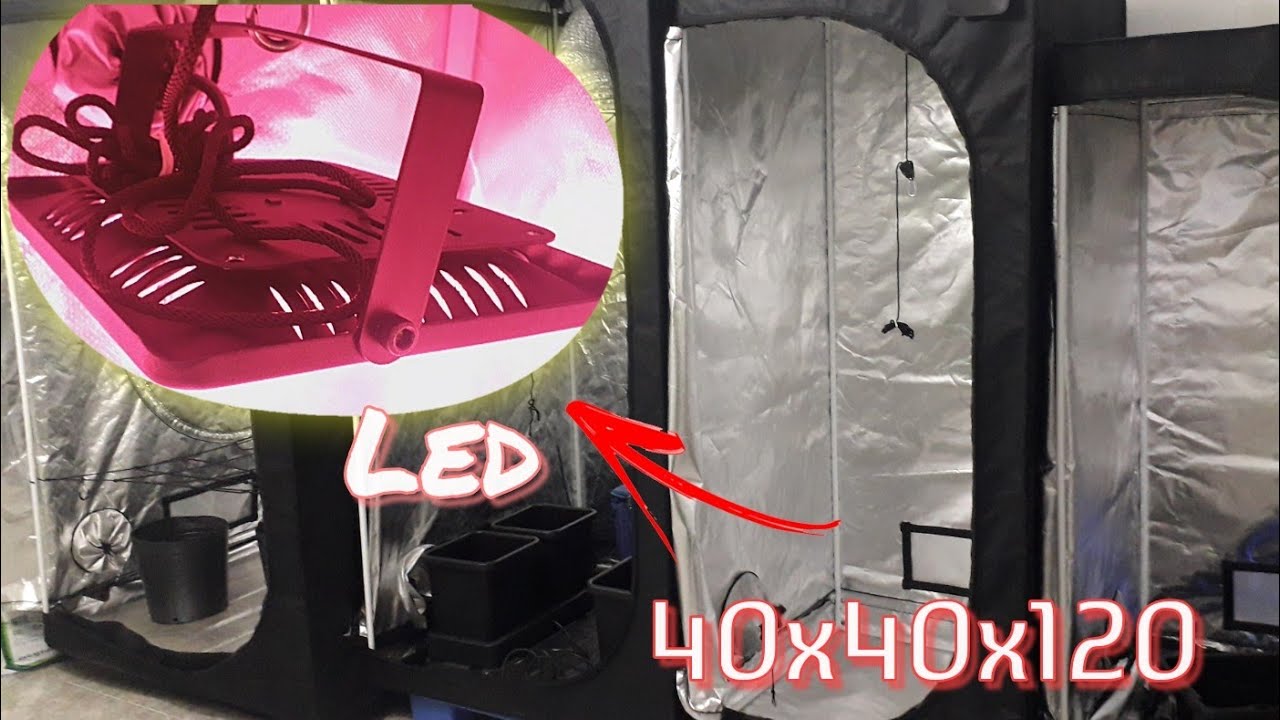Led Cob na nossa estufa - Projeto estufa dos sonhos CUPOM10%OFF GROW POWER CULTIVO INDOOR CANNABIS
