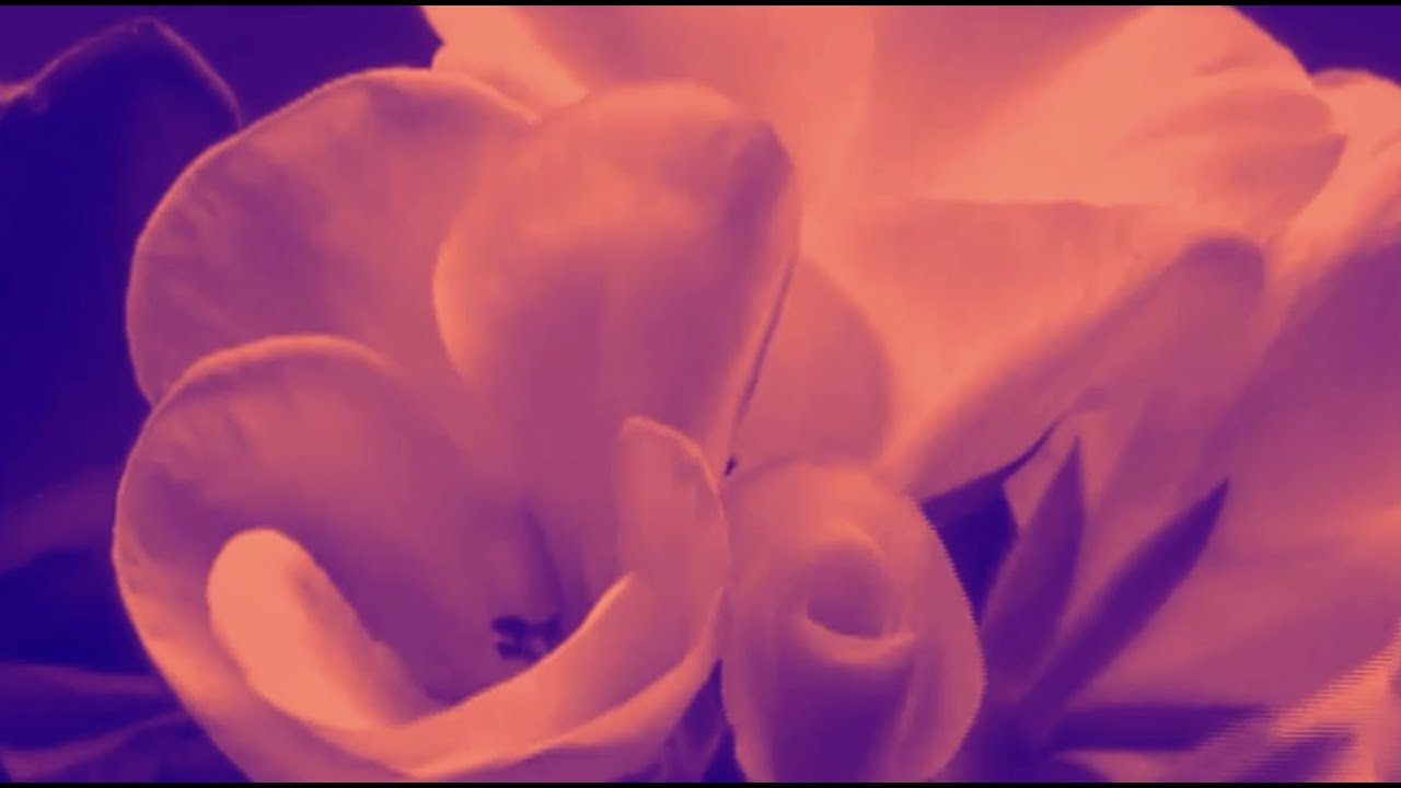 UNSECRET X SAINT MIDDLETON X PYPR - EVERYTHING IS CHANGING [OFFICIAL AUDIO]