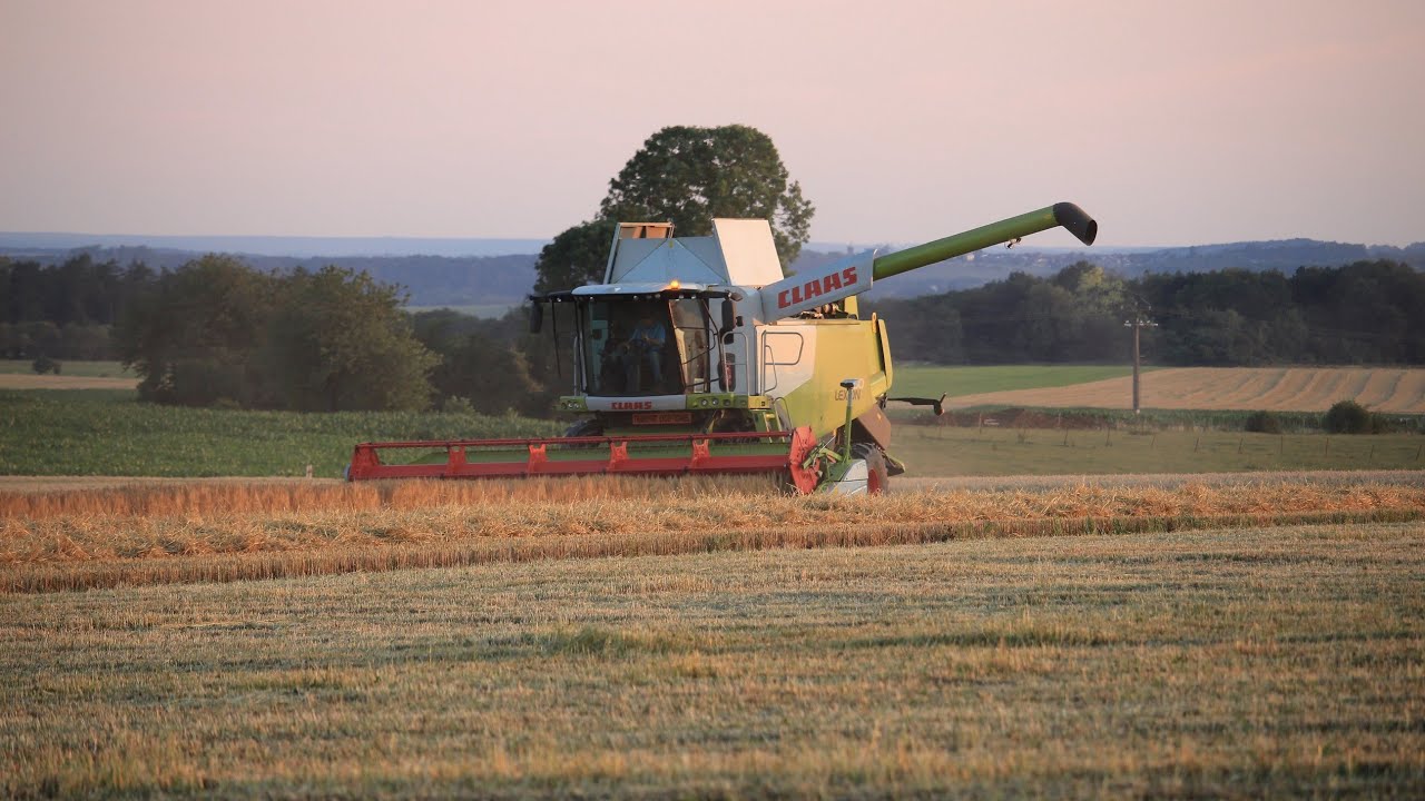 Moisson escourgeon 2020