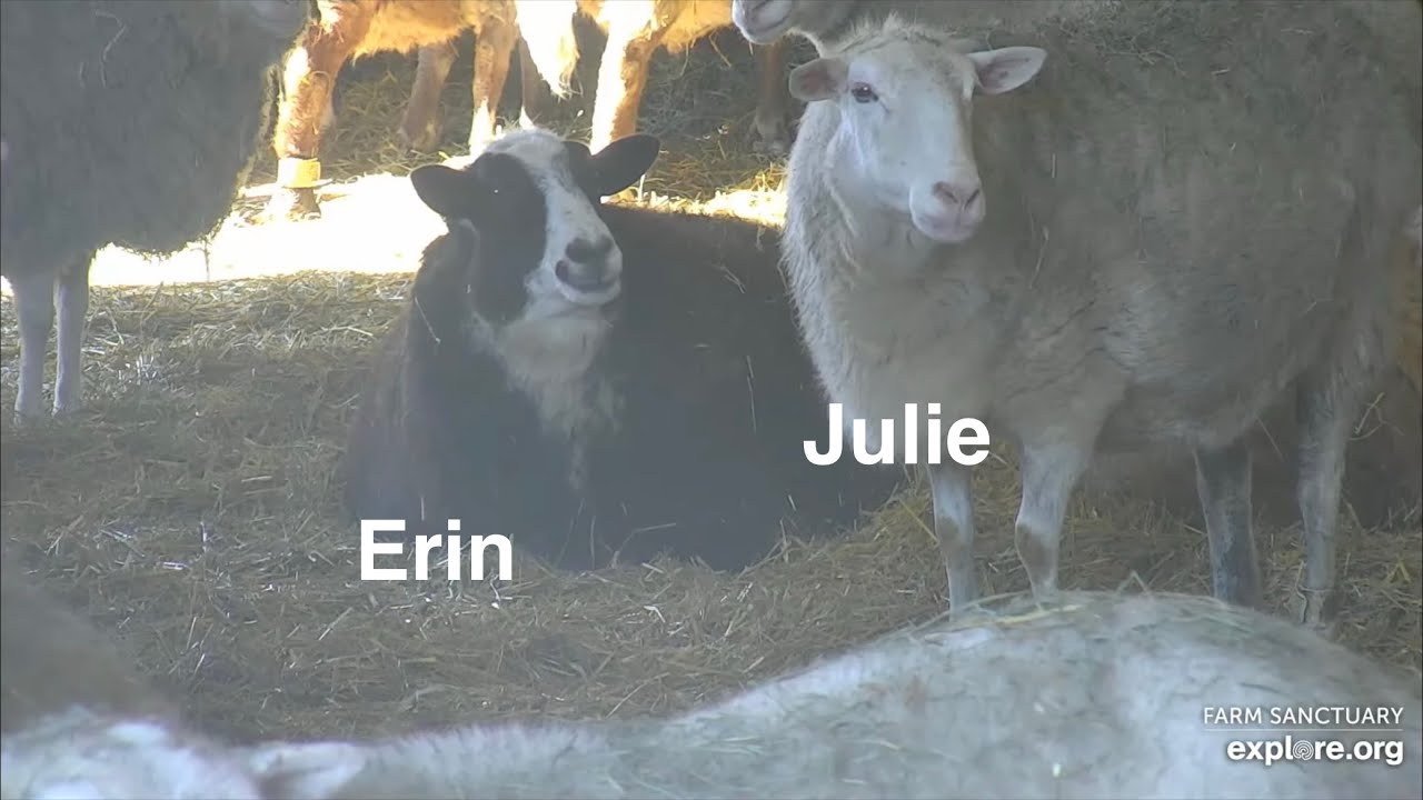 260228 Farm Sanctuary: Julie (Mom) & Erin (Son)