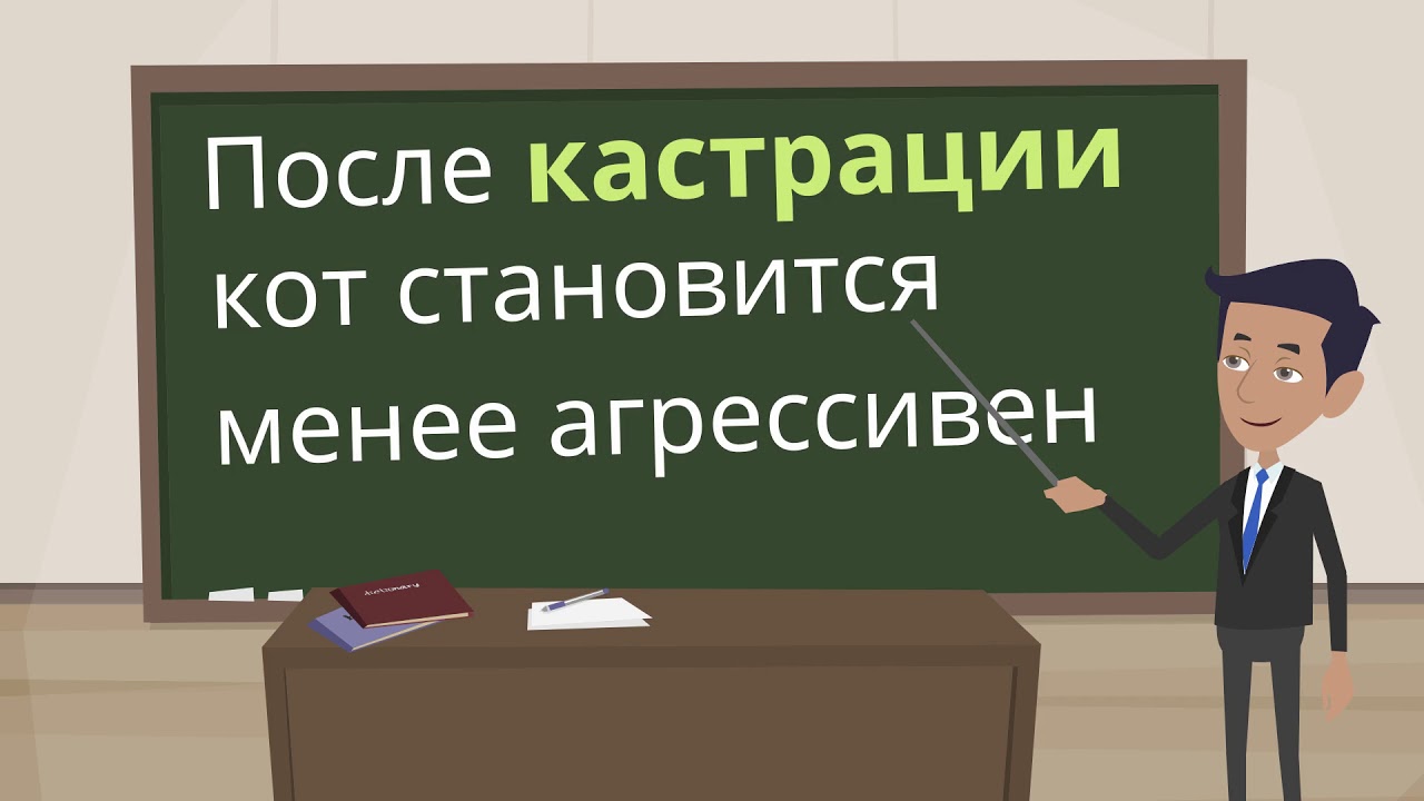 Зачем кастрировать кота?