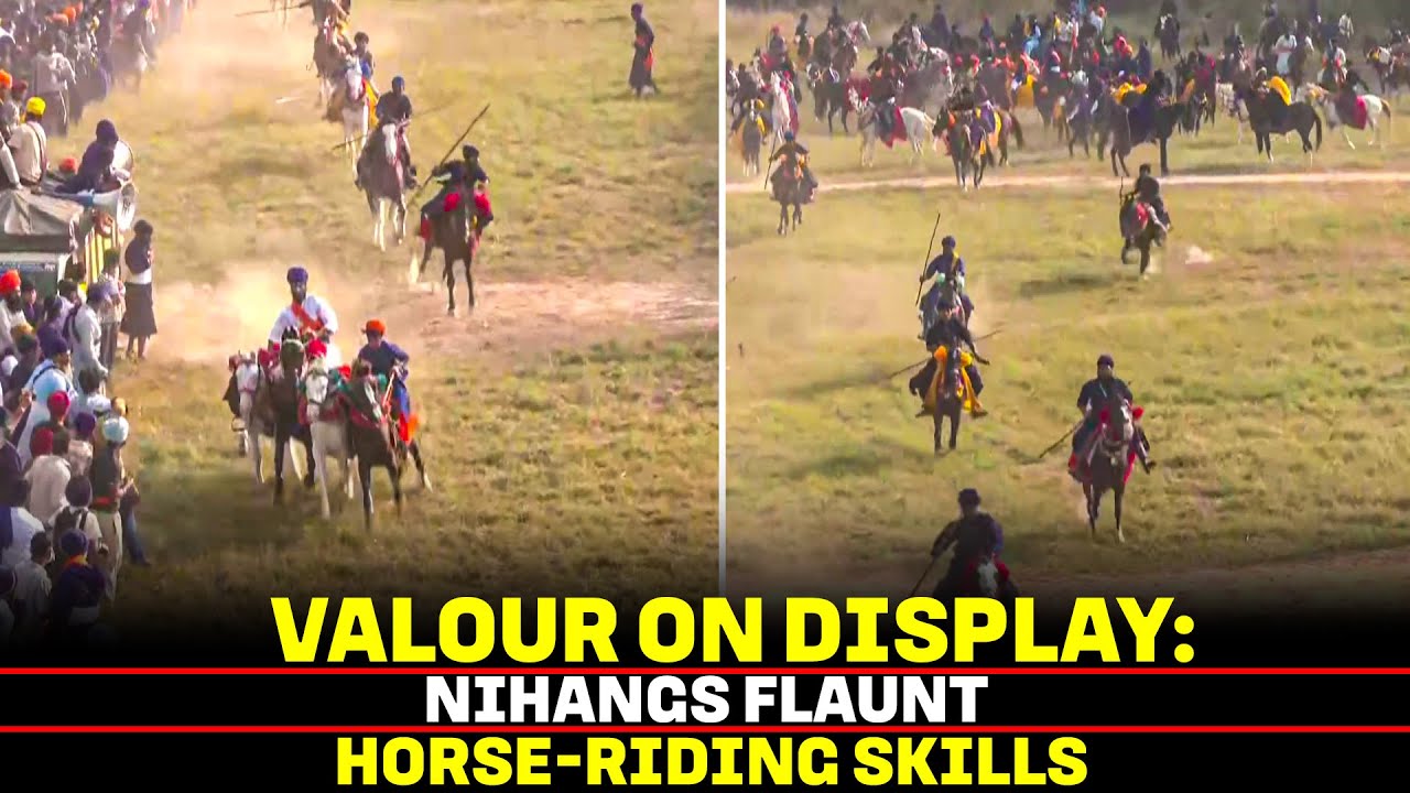 Nihang Sikhs display horse riding stunts and perform gatka, a day after Bandi Chhor Divas | Punjab