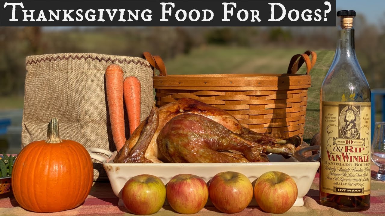 Thanksgiving Food For Dogs? | What is Safe and Appropriate?
