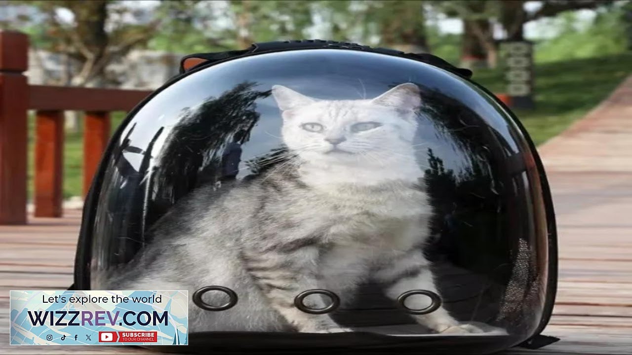 Портативная космическая капсула, дышащая сумка для кошек, товары для путешествий с домашними живо...