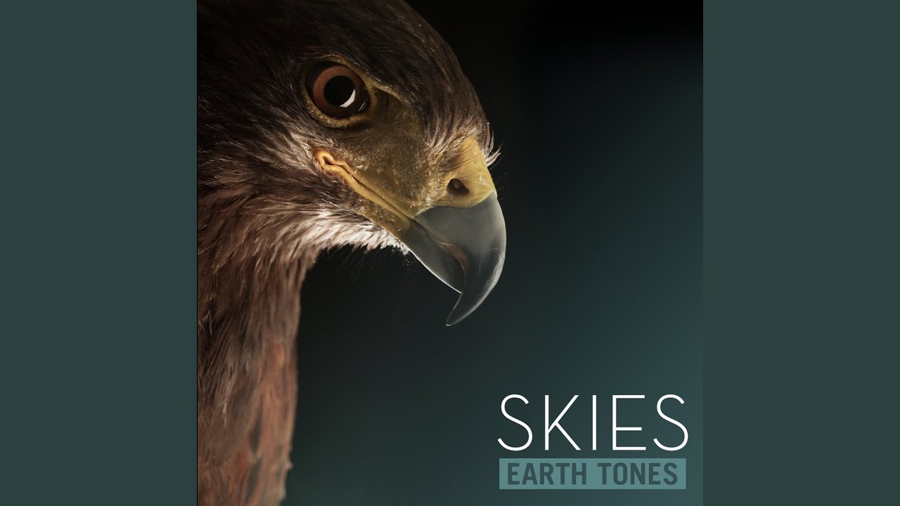 Resident Eagle