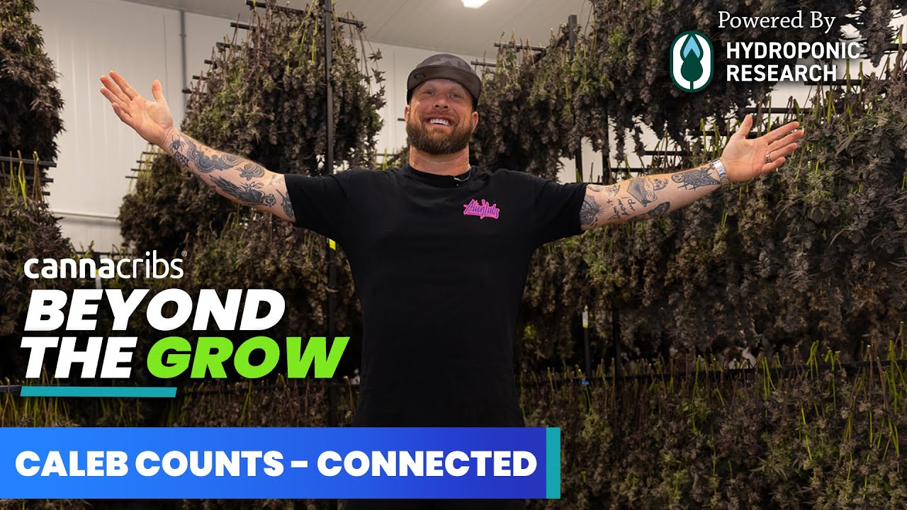 Caleb Counts of Connected Cannabis Co.