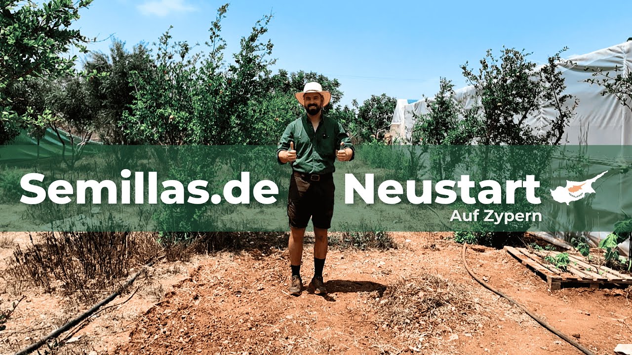 Semillas.de - Der Neustart 2025 auf Zypern