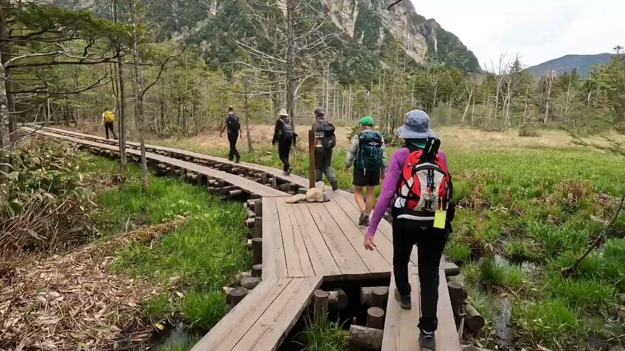 A walk in the Kamikochi Valley: Japanese Alps May 2024