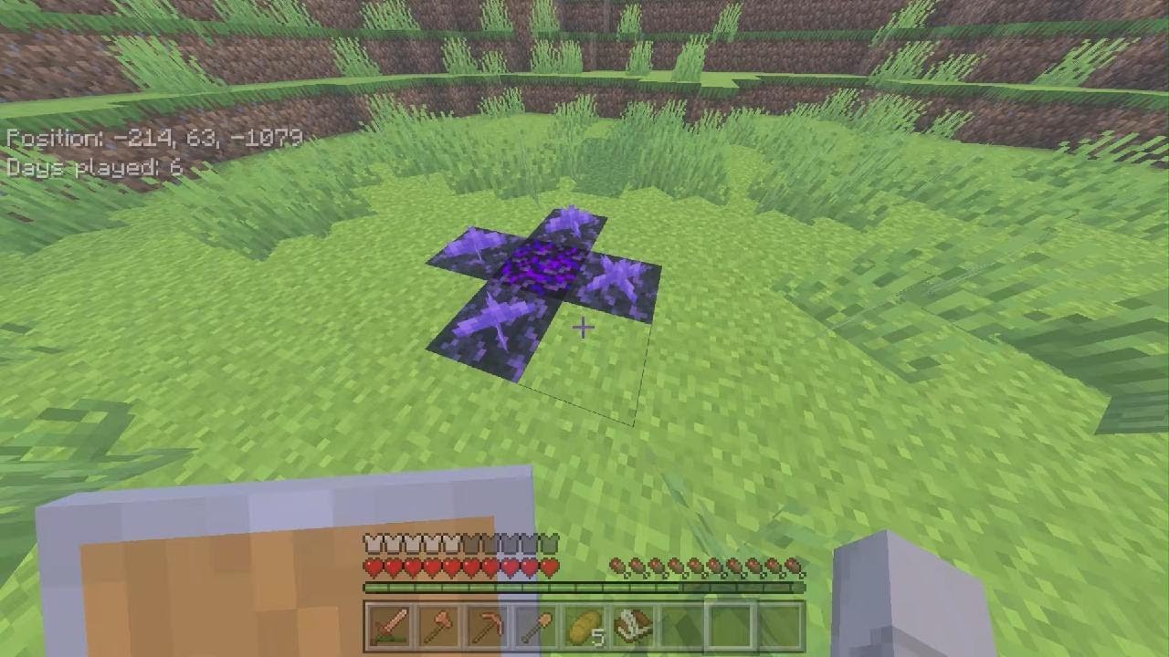 Minecraft_4