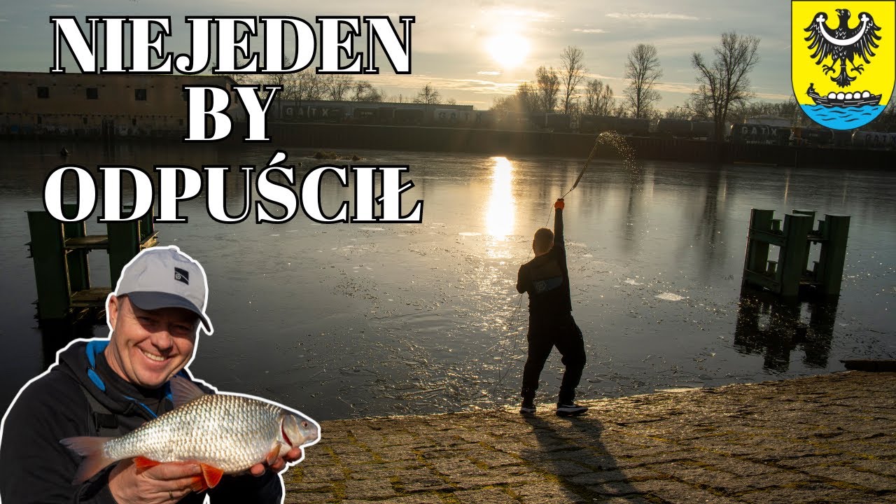 Niejeden by ODPUŚCIŁ - KLASYCZNY FEEDER w porcie w NOWEJ SOLI | Adam Niemiec