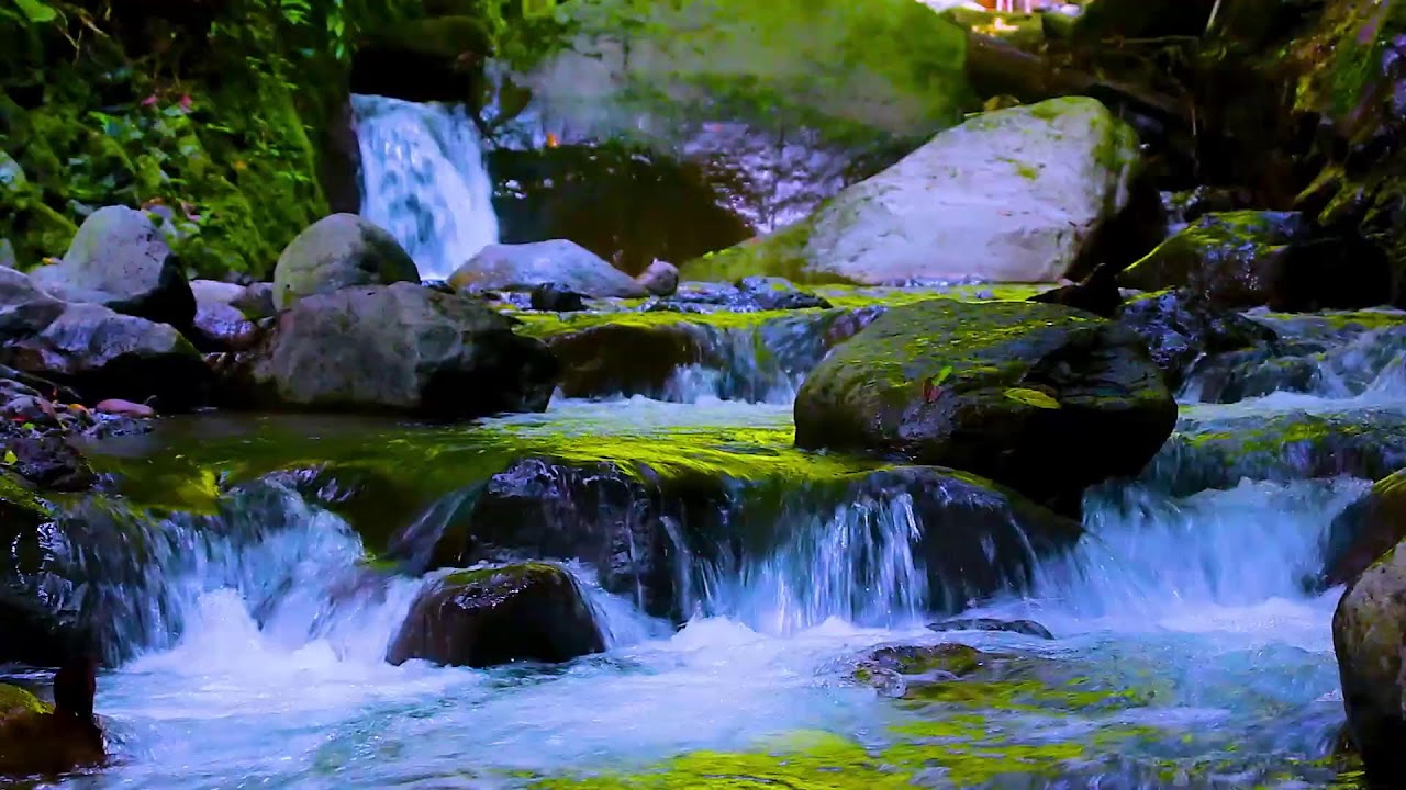 Mountain River Soundscape | Flowing Water Ambience for Deep Sleep and Calm Mind