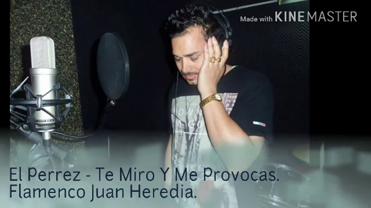 El Perrez   Te Miro Y Me Provocas