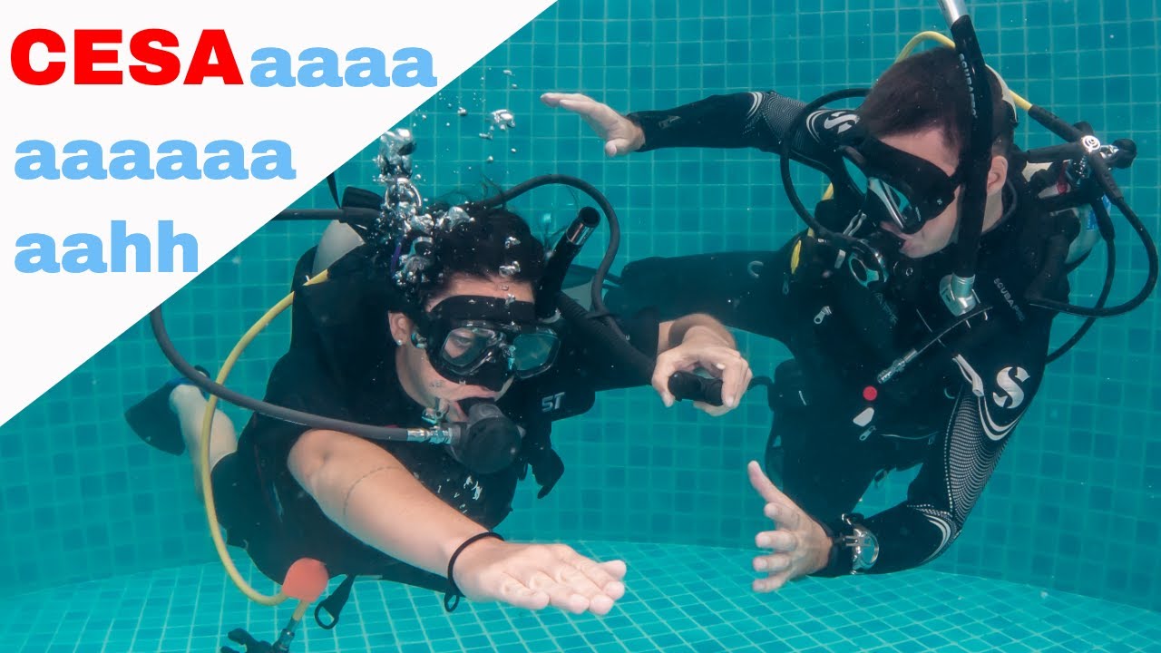 PADI CESA Confined Water 🤘PADI Open Water Diver Course &bull; Scuba Diving Tips