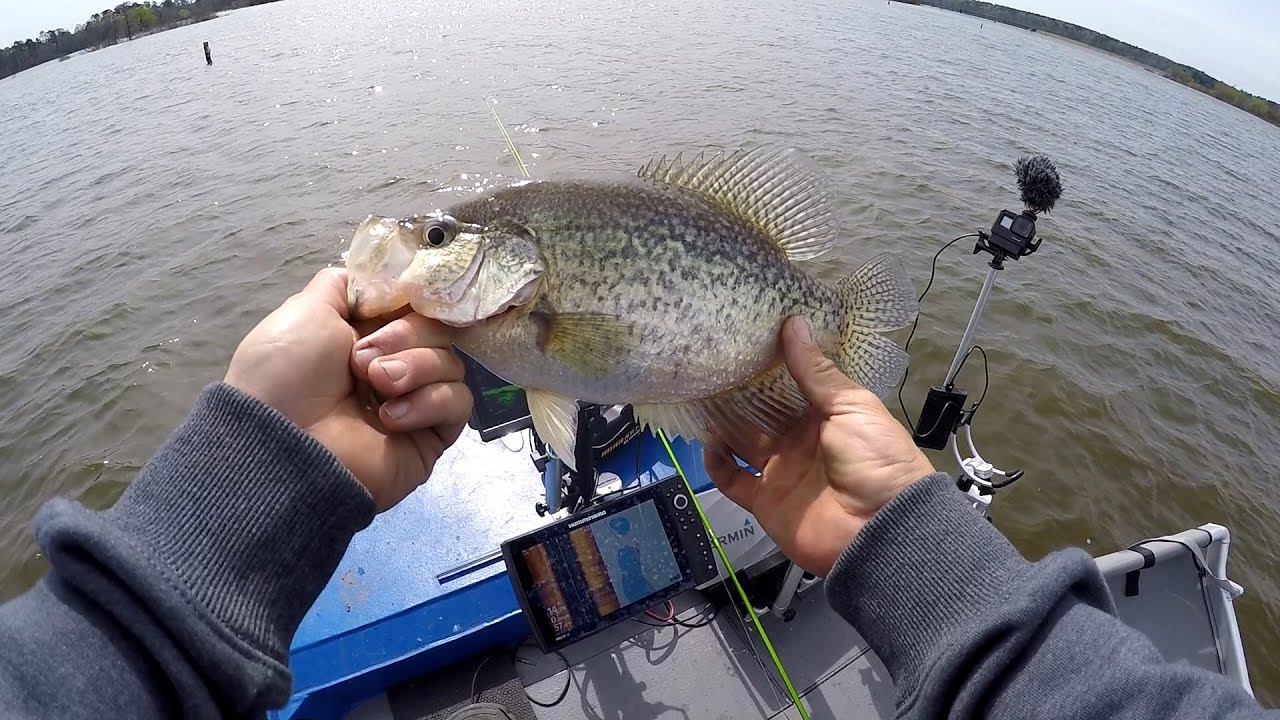I Drove 600 Miles to Catch GIANT Crappie ( Lake o Pines Day 1)