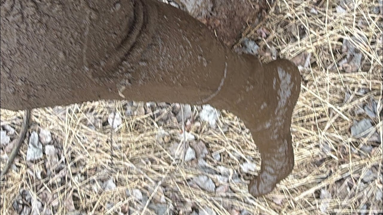 Stuck in thick clay mud 4