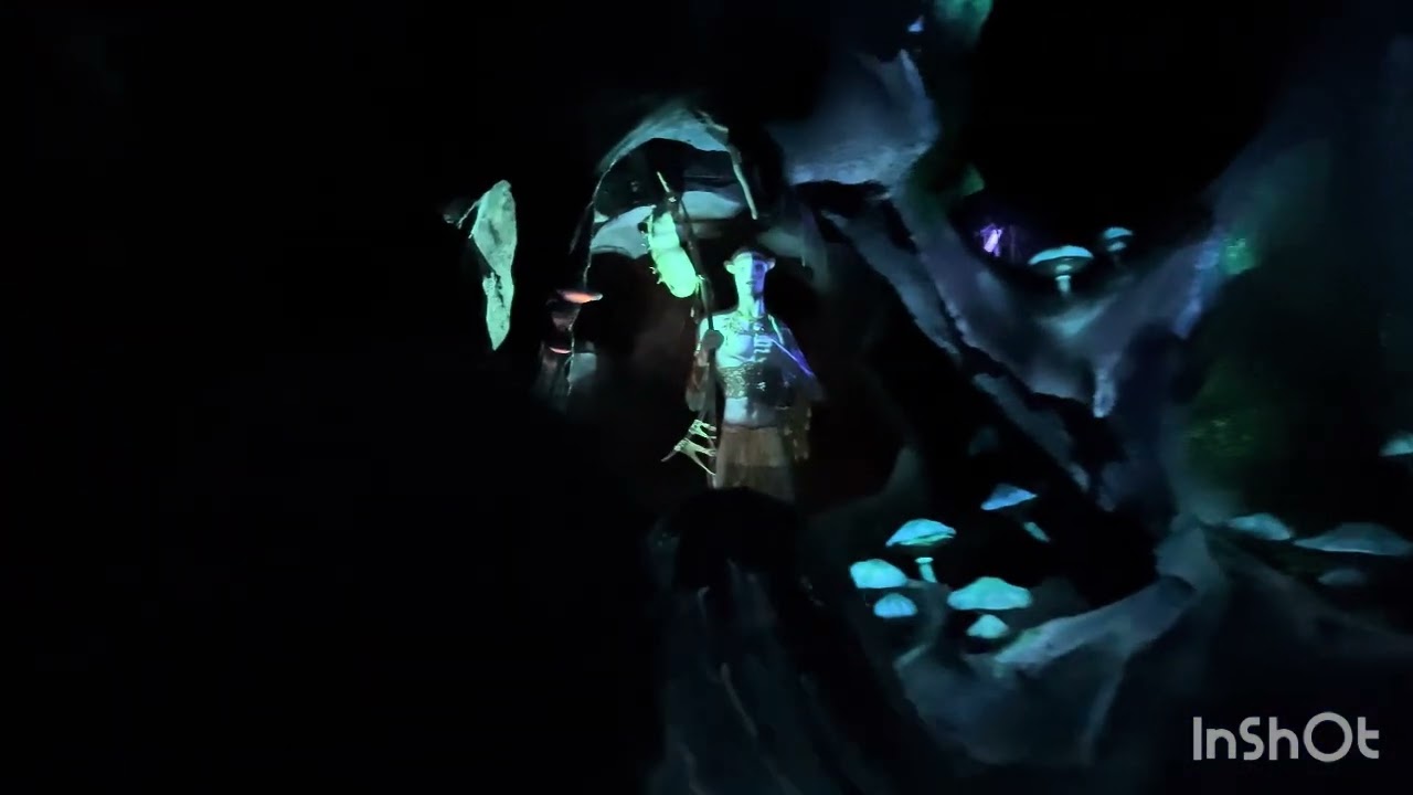 Avatar - Animal Kingdom - Disney 