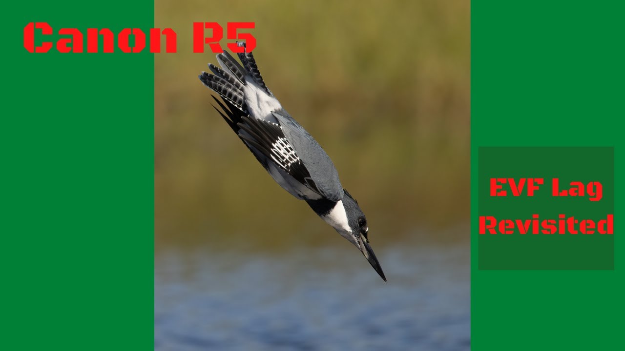 Canon R5 EVF Lag Revisited