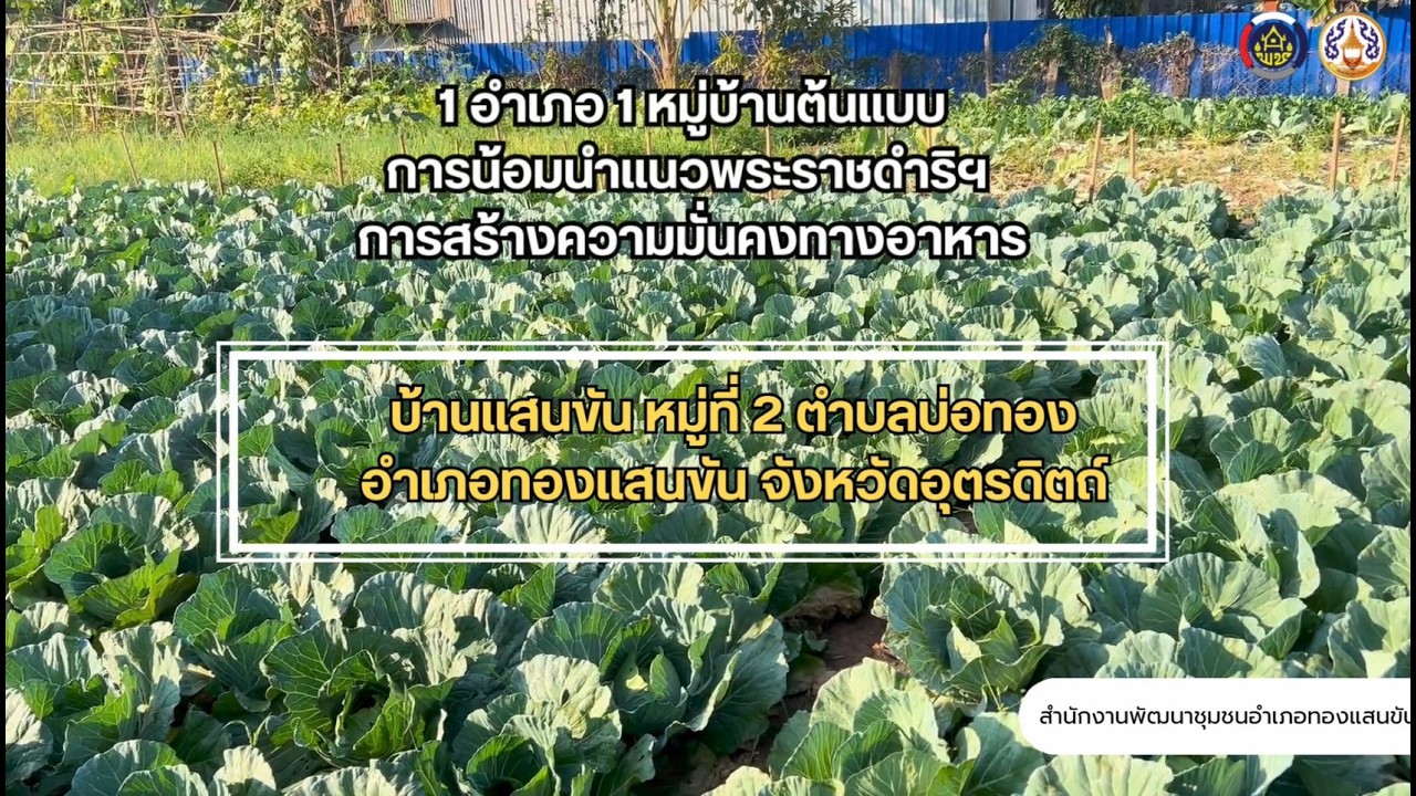 1 อำเภอ 1 หมู่บ้านต้นแบบ การน้อมนำแนวพระราชดำริฯ การสร้างความมั่นคงทางอาหาร อำเภอทองแสนขัน