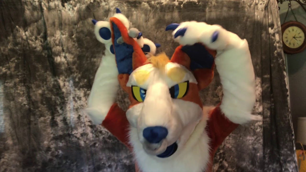 Coy the Bull Terrier fursuit