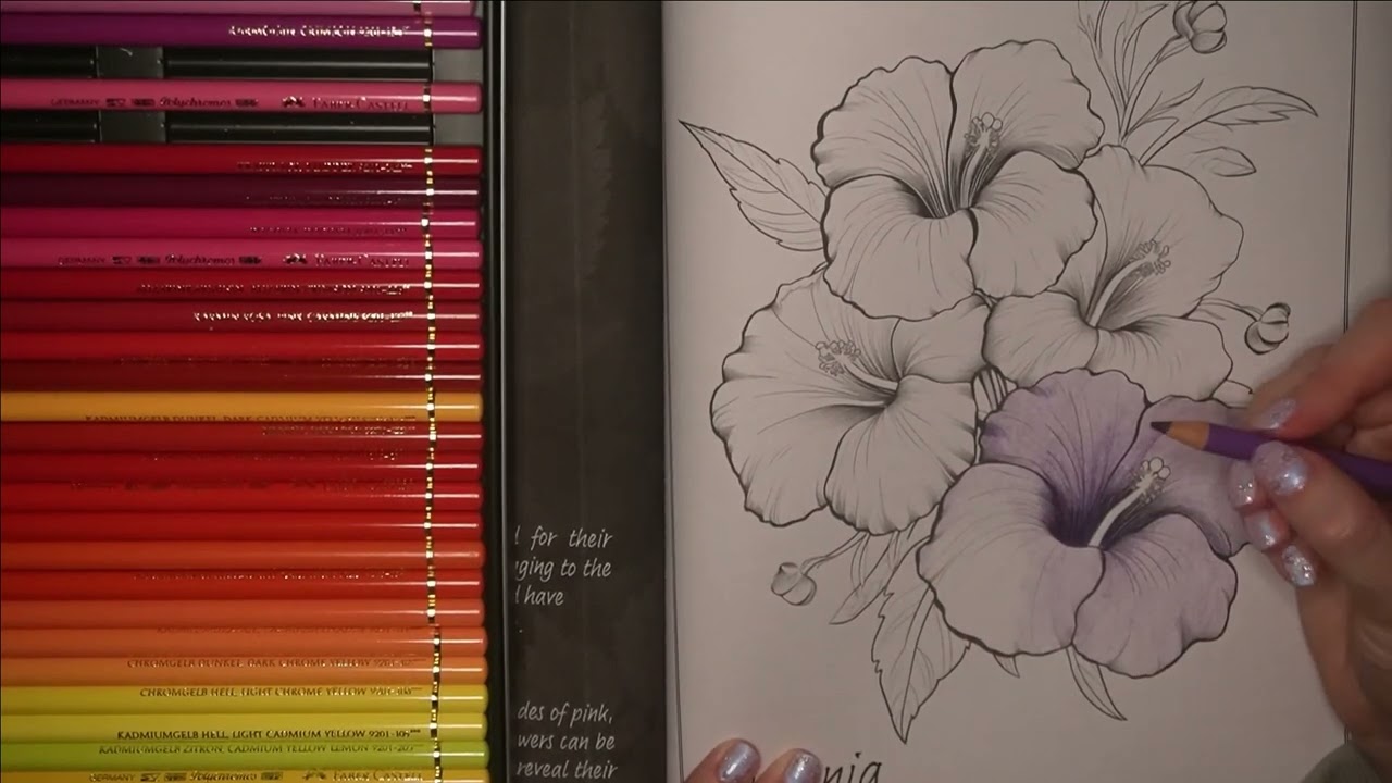 ASMR | Colour with me - Petunias ( Coloured pencil sounds) (Mostly no talking)