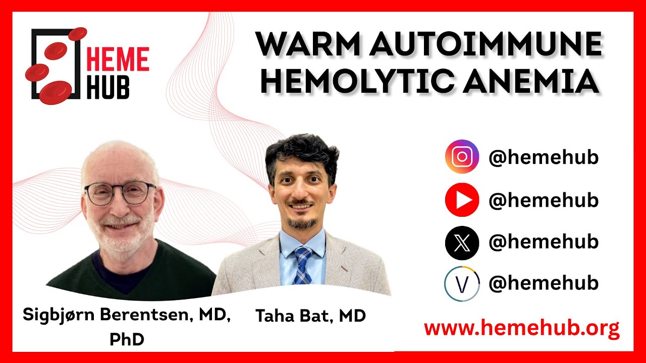 Warm Autoimmune Hemolytic Anemia | Sigbj&oslash;rn Berentsen, MD, PhD and Taha Bat, MD | HemeHub.org