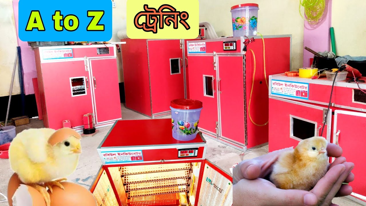 ফুল অটোমেটিক ইনকিউবেটর ৬০০ ডিম সেটিংস ও ব্যবহার বিধি শিখুন সহজেই | auto incubator | rabiul incubator