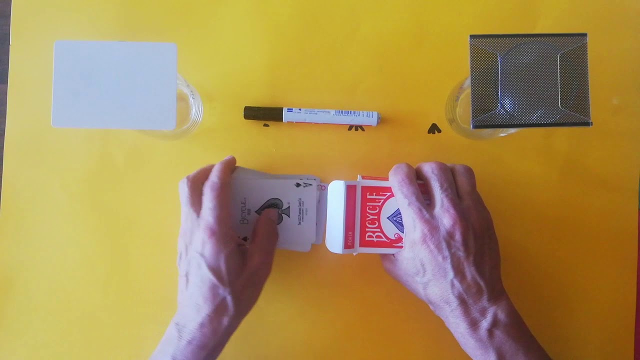 TELESTRANSPORTACIO M&Aacute;GICA KACHINOCHEVE.