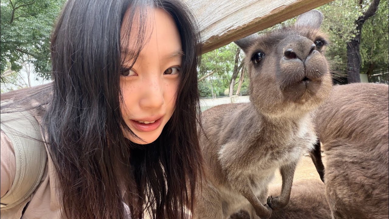 시드니에서 생긴 일