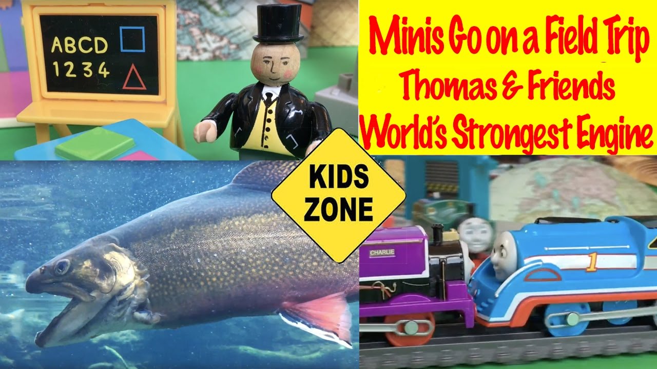 Thomas & Friends  Minis Go on a Field Trip - World's Strongest Engine Kids Toys