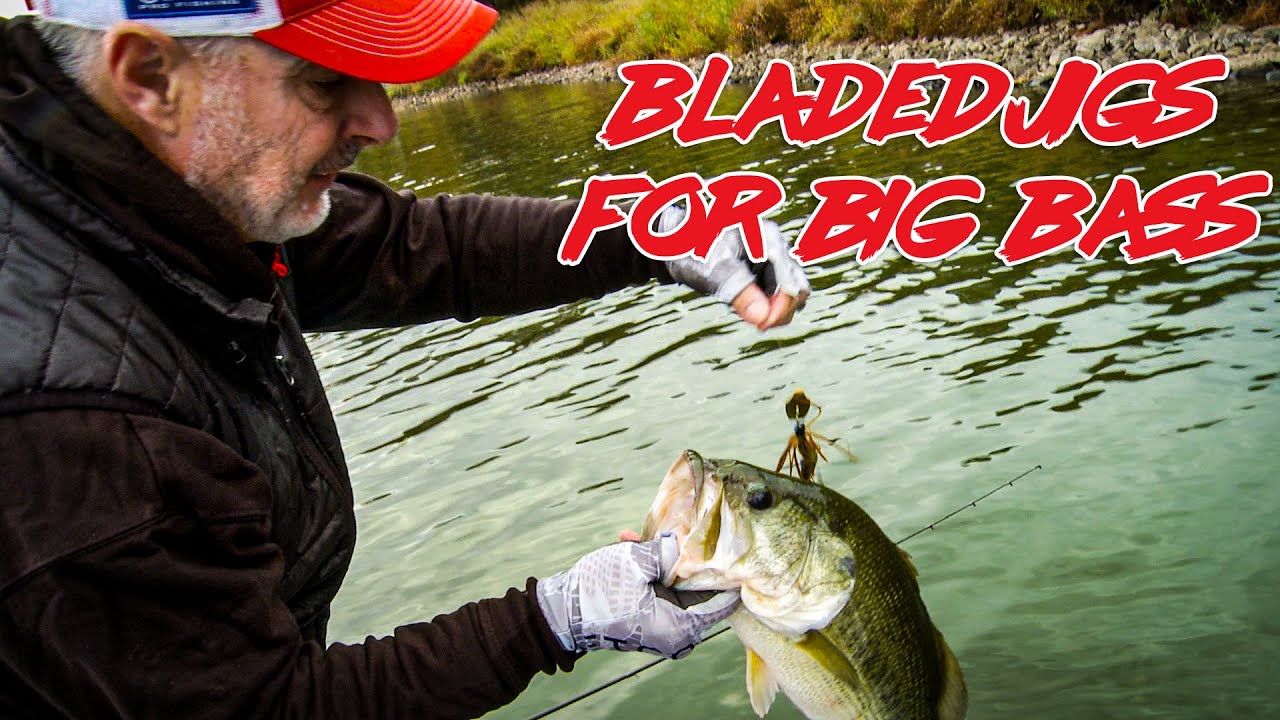 Shallow Water Bass GO CRAZY over THIS TECHNIQUE