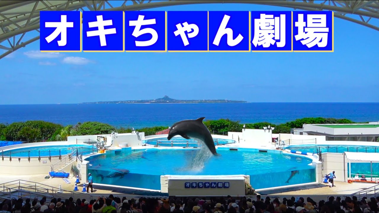 オキちゃん劇場🐬イルカショー【海洋博公園】Okichan Theatre of The Ocean Expo Park in OKINAWA