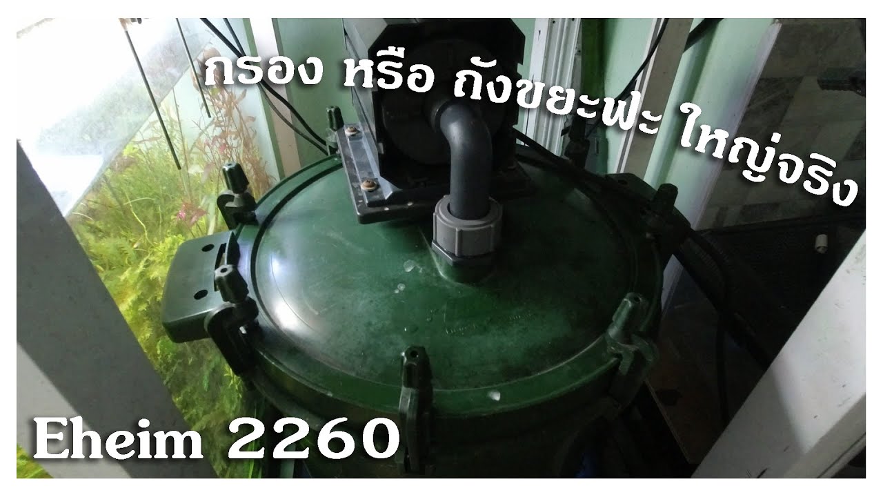 Eheim 2260 กรองใหญ่มากกกกกกก