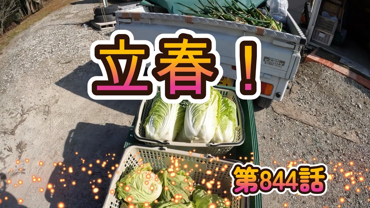 立春！ど田舎の耕作放棄地にいます。10度：260204立春第844話