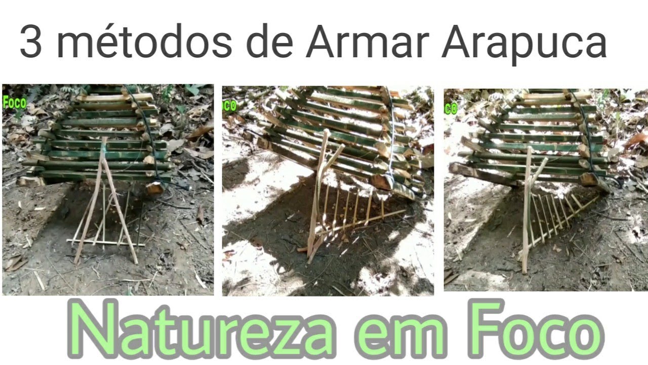 Os 3 melhores métodos de armar uma Arapuca
