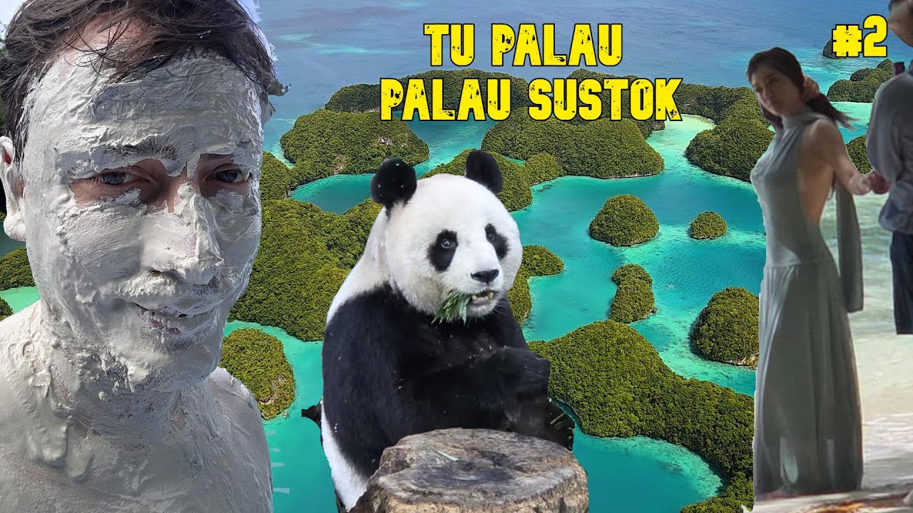 TU PALAU PALAU SUSTOK #2: NUOSTABŪS VAIZDAI, PANDA IR SIAUBINGAS LOUNGE