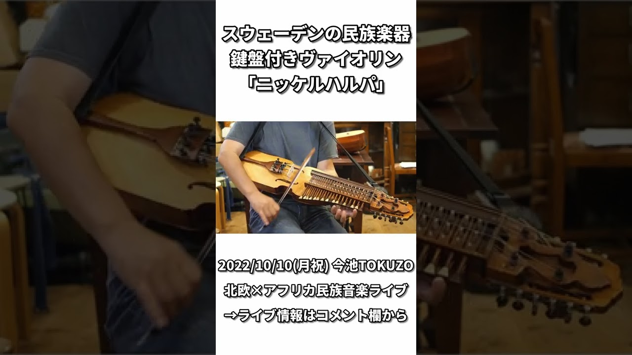 スウェーデンの民族楽器「ニッケルハルパ」｜北欧音楽×アフリカ音楽【Kanran / UFO et MAYU with 武藤祐志 Live!】 #Shorts