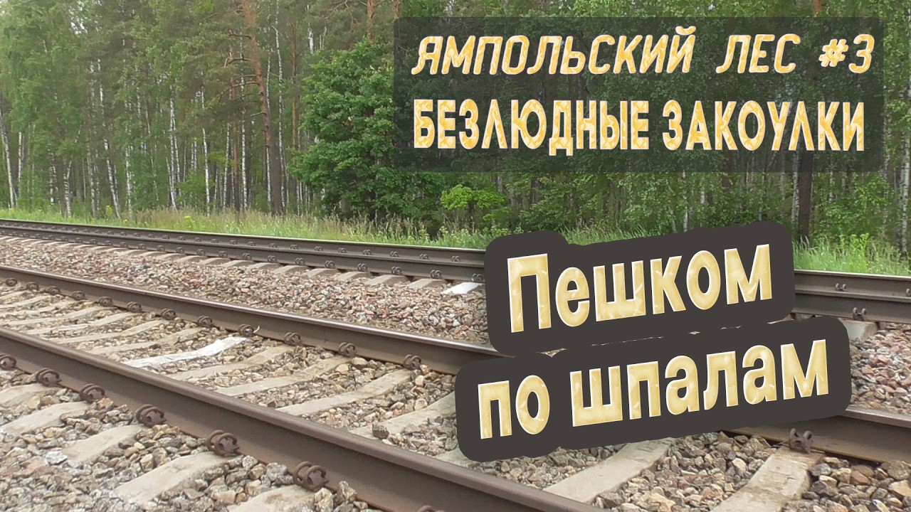 ⛺ Ямпольский лес #3. Безлюдные закоулки. Пешком по шпалам